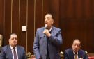 الدكتور نبيل دعبس رئيسا للجنة التعليم في مجلس الشيوخ - eg