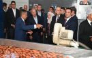 بـ300 مليون جنيه.. افتتاح مصنع لتصدير الحاصلات الزراعية بـ جمصة - eg