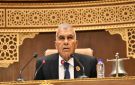 رئيس الشيوخ يوافق على تشكيل القوائم النهائية للجان النوعية - eg