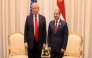 نائب: قمة شرم الشيخ رسالة مصر للعالم بأن كفى حربا ومرحبا بالسلام - eg