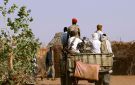 تحرك عاجل في مصر بعد مجزرة الفاشر في السودان - eg
