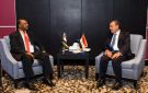 وزير الخارجية يعقد مباحثات مع نظيره السوداني على هامش منتدى أسوان للسلام والتنمية المستدامة - eg