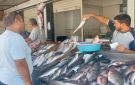 المرجان بـ200 .. أسعار السمك والمأكولات البحرية بأسواق الإسكندرية اليوم 23 أكتوبر 2025 - eg