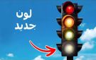 لأول مرة .. إشارة مرورية جديدة باللون الأبيض - eg