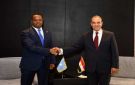 وزير الخارجية يجدد التزام مصر بدعم جهود تعزيز الأمن والاستقرار في الصومال ومنطقة القرن الأفريقي - eg