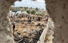 خبير: إسرائيل تخطط لإبقاء سيطرتها الأمنية على غزة عبر شريط حدودي وعمليات اغتيال محدودة - eg