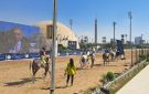 انطلاق محطة كأس رئيس الإمارات للخيول العربية بنادي الجزيرة - eg