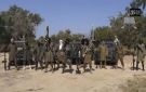 الجيش النيجيري يقتل نحو 50 مسلحا من جماعة بوكو حرام - eg