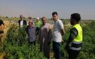 الزراعة تتابع مشروعات تطوير وتحديث الري ودعم الفلاحين بالمنيا وبني سويف - eg