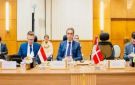 مصر تشارك في الاجتماع التنسيقي للتحالف العالمي لتنفيذ حل الدولتين - eg