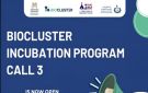 حاضنة جامعة حلوان Biocluster تطلق الدورة الثالثة لاحتضان الشركات الناشئة - eg