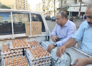بكام كرتونة البيض بالإسكندرية؟.. إقبال على سوق اليوم الواحد بحي المنتزة