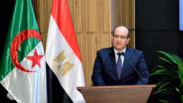 سيفي غريب: بعض الشركات المصرية الناشطة في الجزائر أصبحت نموذجا للمثابرة والنجاح