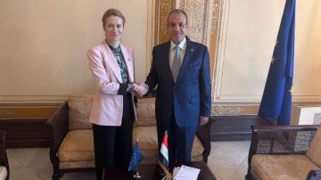 وزير الخارجية: يجب على الاتحاد الأوروبي خفض التوتر بالمنطقة ودعم الحلول الدبلوماسية