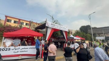 إقبال الناخبين على لجان مدرسة الشهيد عامر عبد المقصود بالجيزة.. صور