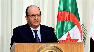 الوزير الأول الجزائري: تعميق العلاقات مع مصر استجابة استراتيجية للتحديات التي تشهدها منطقتنا