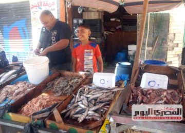 سعر السمك البلطي والكابوريا والجمبري بالأسواق اليوم الأربعاء 5 نوفمبر 2025