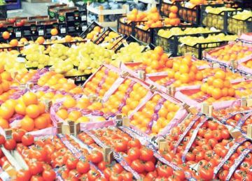  سلامة الغذاء : 190 ألف طن صادرات.. والسعودية واليمن ولبنان أبرز الدول المستقبلة