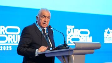 عمر مهنا: مصر في موقع يؤهلها لتقريب المسافات بين الشمال والجنوب في عصر الاضطرابات العالمية