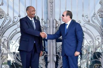 ما خيارات مصر في السودان بعد سقوط الفاشر؟