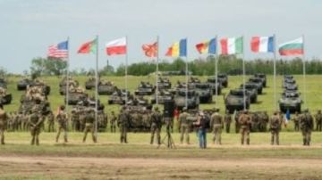 انطلاق تدريبات ضربة الصقر 2025 في إيطاليا بمشاركة قوات جوية من 5 دول بالناتو