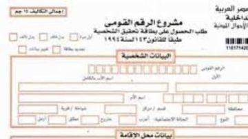 تجديد البطاقة الشخصية للمصريين بالخارج.. الخطوات والمستندات المطلوبة