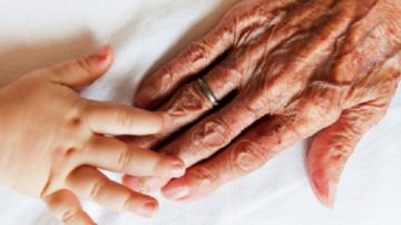 دواء جديد يستهدف خلايا الزومبى ويفتح آفاقا واسعة لإطالة العمر تفاصيل