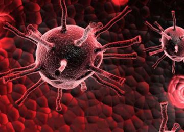 كنز أوعى ترميه .. قشور هذه الفاكهة توقف انتشار خلايا السرطان كنز أوعى ترميه .. قشور هذه الفاكهة توقف انتشار خلايا السرطان