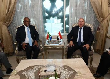 مصر وجنوب إفريقيا يبحثان التعاون في صناعات السيارات والحديد والصلب والمناطق اللوجيستية
