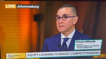 وزير الاستثمار المصري: نعمل على استعادة تدفقات الاستثمار الأجنبي المباشر