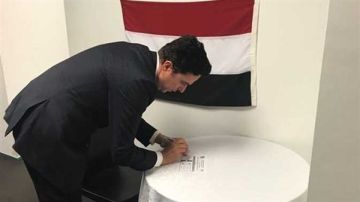 اليوم الثاني.. بدء التصويت لانتخابات البرلمان بسفارة مصر في نيوزيلندا