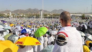 بعد قرار وزيرة التضامن.. آخر موعد لسداد رسوم حج الجمعيات الأهلية