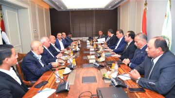 خطة حكومية لدعم صناعة الدواجن وتقليل فاتورة الاستيراد