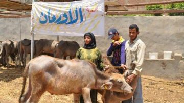 تسليم 2641 رأس ماشية للأسر الأولى بالرعاية بمحافظة الشرقية