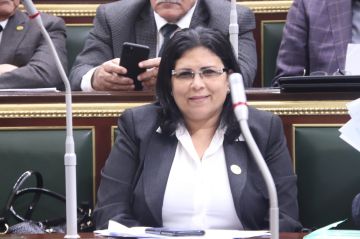 تعرض النائبة السابقة منى جاب الله لحادث مميت على طريق صلاح سالم بالقاهرة