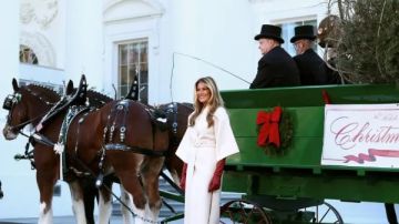 ميلانيا ترامب تستقبل شجرة عيد الميلاد بحذاء فاخر من مانولو بلانيك بسعر 4000 دولار ميلانيا ترامب تستقبل شجرة عيد الميلاد بحذاء فاخر من مانولو بلانيك بسعر 4000 دولار