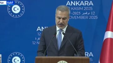 وزير خارجية تركيا: هناك حاجة ماسة لتوضيح تفاصيل عمل القوة الدولية في غزة