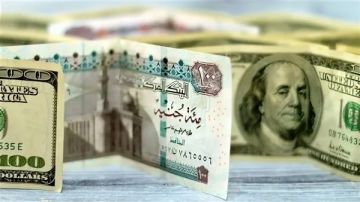 رسميا.. سعر الدولار اليوم في مصر 11 نوفمبر رسميا.. سعر الدولار اليوم في مصر 11 نوفمبر