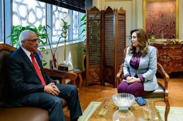 وزيرة التنمية المحلية تبحث مع محافظ شمال سيناء الموقف التنفيذي للمشروعات التنموية والخدمية وزيرة التنمية المحلية تبحث مع محافظ شمال سيناء الموقف التنفيذي للمشروعات التنموية والخدمية