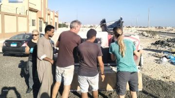 تعقيم الكلاب الضالة بالغردقة لمواجهة انتشارها وحماية المواطنين