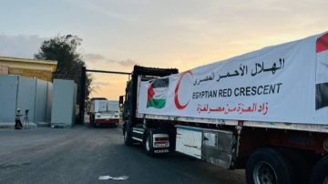 قافلة زاد العزة الـ81 تدخل إلى الفلسطينيين بقطاع غزة قافلة زاد العزة الـ81 تدخل إلى الفلسطينيين بقطاع غزة