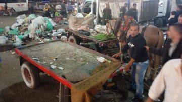 محافظة الجيزة تكثف حملاتها الليلية لضبط عربات الكارو والفريزة بإمبابة والوراق