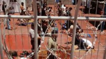 فتح: أسرانا يواجهون منظومة إبادة وتعذيب تفرغ القيم الإنسانية من معناها