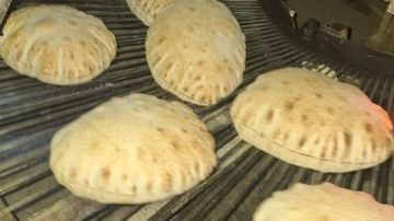 كفر الشيخ.. تحرير 13 محضرا تموينيا ضد المخابز المخالفة ببيلا