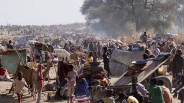 مجلس حقوق الإنسان يقرر بالإجماع تشكيل بعثة تقصي حقائق بشأن انتهاكات الفاشر