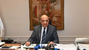 وزير الكهرباء يبحث مع CSGI الصينية التعاون في مجالات دمج الطاقات المتجددة