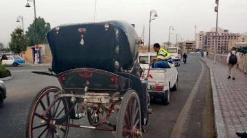 استرداد 2 فدان من أملاك الدولة بالأقصر والتحفظ على 3 حناطير مخالفة استرداد 2 فدان من أملاك الدولة بالأقصر والتحفظ على 3 حناطير مخالفة