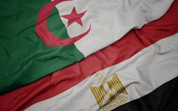 الجزائر تؤكد دعم الشركات المصرية لتعزيز التعاون الصناعي والتجاري