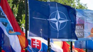 الناتو يعزز التعاون مع قطاع الشحن البحري العالمي خلال تدريبات دايناميك ماستر 25