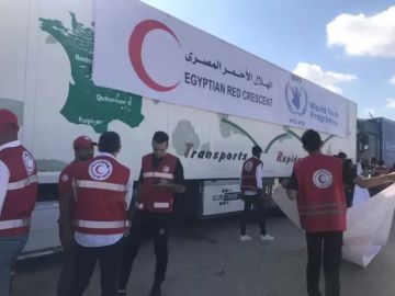 الهلال الأحمر المصري يطلق قافلة زاد العزة الـ80 محملة بأكثر من 12 ألف طن مساعدات إلى غزة